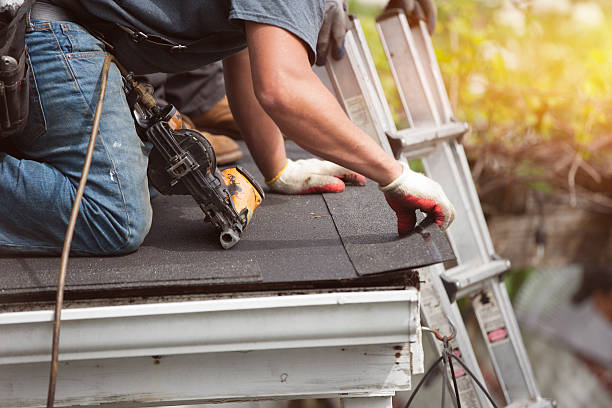 Best Roof Gutter Cleaning  in Sargent, TX